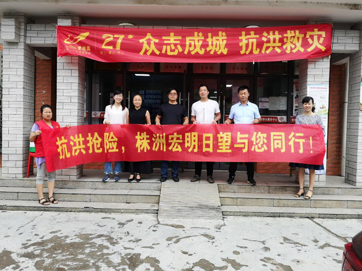 瓦力游戏,宏明瓦力游戏,株洲电子科技,湖南电容器,株洲电容器,电容器